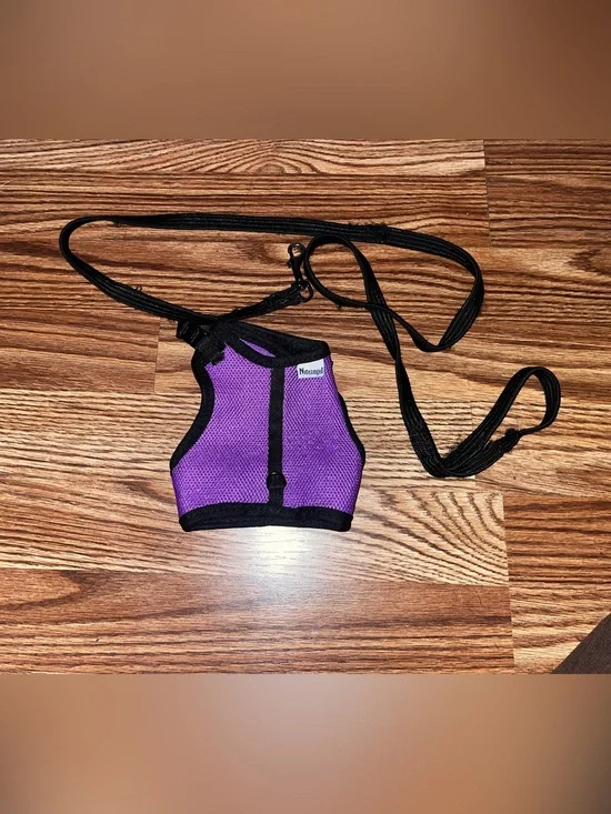 Bunny harness