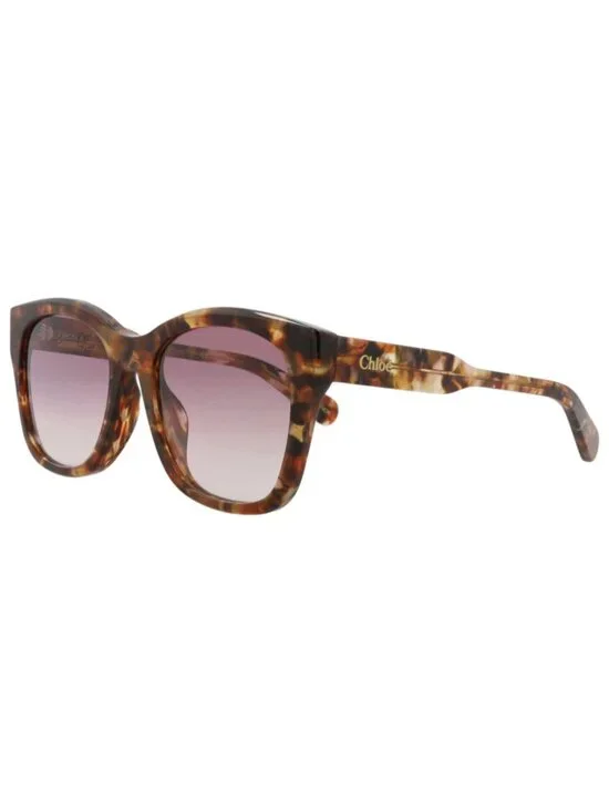 New Chloé Women's Sunglasses Square Rectangle Recycled Acetate Frame Havana