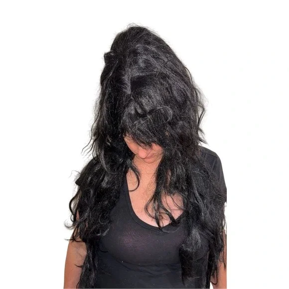 Elvira Mistress of the Dark Wig Halloween Costume Accessory Black needs brushing