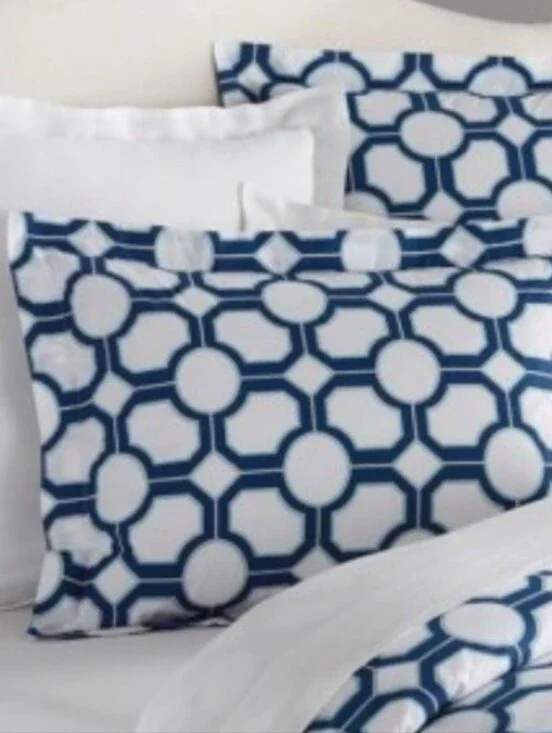 NEW Pottery Barn Nova Geo Standard Sham