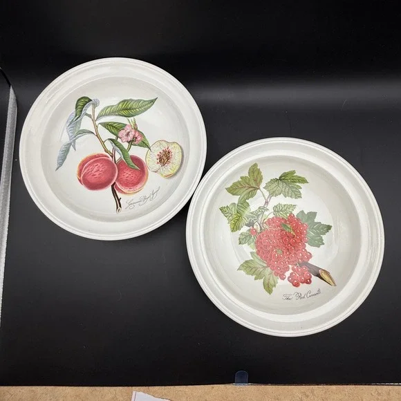 Vintage Portmeirion Pomona Pasta Bowls Set of 2 8.5