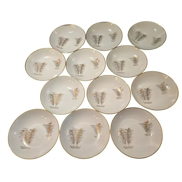 Fukagawa Arita Japan Bamboo Pattern 901 Hand Painted Bowls Set of 12  5.5