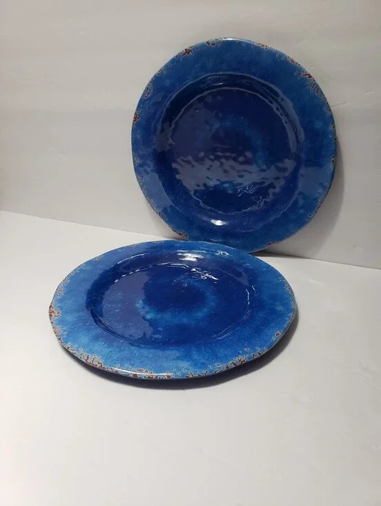 Set Of 2 PIER 1 IMPORTS *Carmelo* Dinner Plates