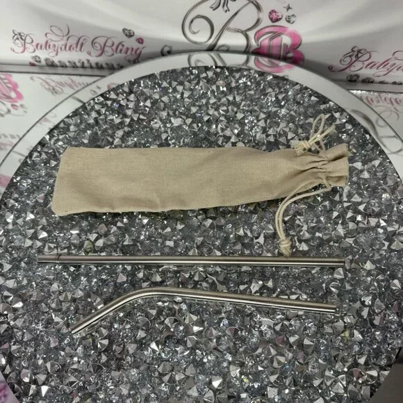 2 metal straws brand new with carrying bag silver thick smoothie straw style