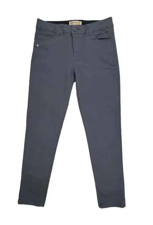 Democracy Womens Pants 8 Gray Mid-Rise Ab Technology Freedom Ankle Skimmer