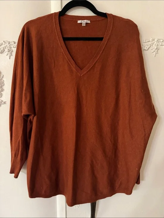 Classic V-Neck Sweater in Rust SZ 1X