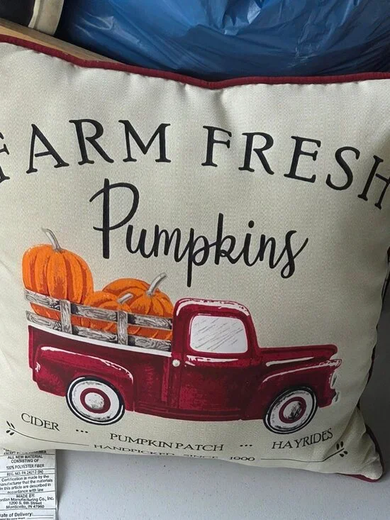 Fall Indoor/Outdoor Toss Pillow 15