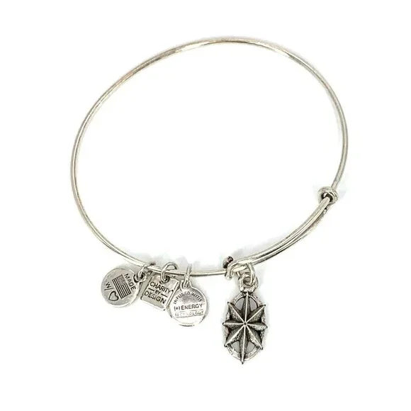 Alex and Ani Compass Charm Bracelet Silver Finish - Expands 2