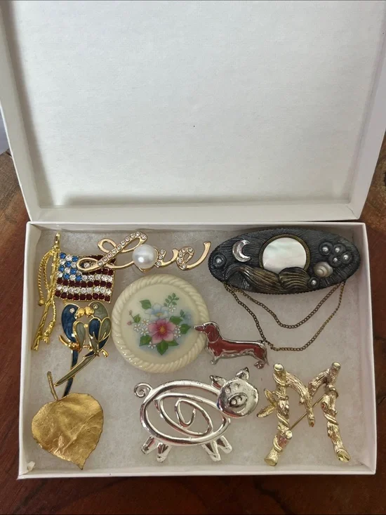 Lot of Nine Brooches and Pins
