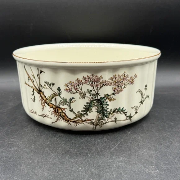Vintage Villeroy & Boch‎ Botanical 9