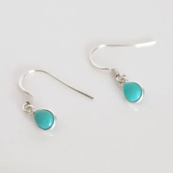 Sonoran Turquoise Earrings in Sterling Silver