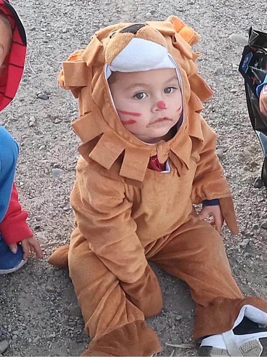 Lion Costume 🦁