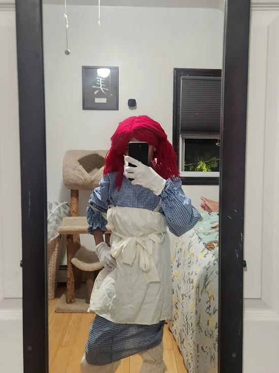 Adult/teen RAGGETY ANN Doll Check Dress Costume with White Apron