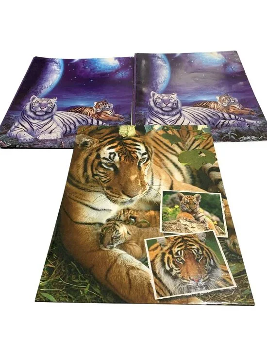 Vintage 2 Mead Christian Riese Lassen Tiger Theme Pocket Folders and 1 Class Act