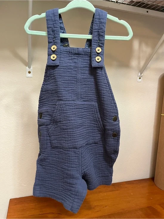 OshKosh Blue Gauze Overalls for Toddler. Pineapple print inside.