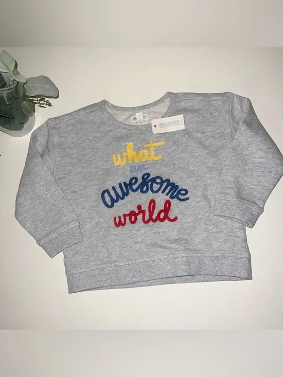 sweatshirt