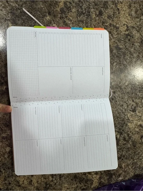 Happy planner Mickey Mouse undated weekly planner with tassel