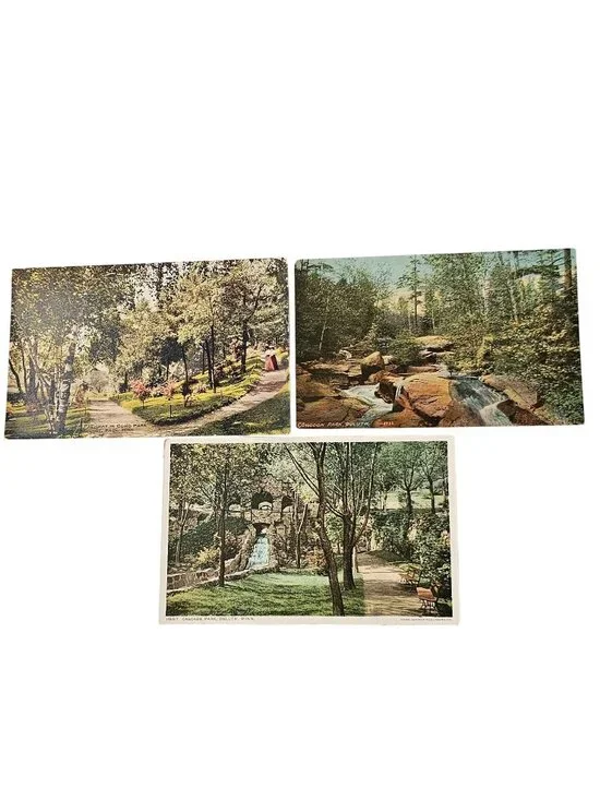 3 Minnesota Parks 1920s Postcards color Lithograph Cascade Como Conodan Park