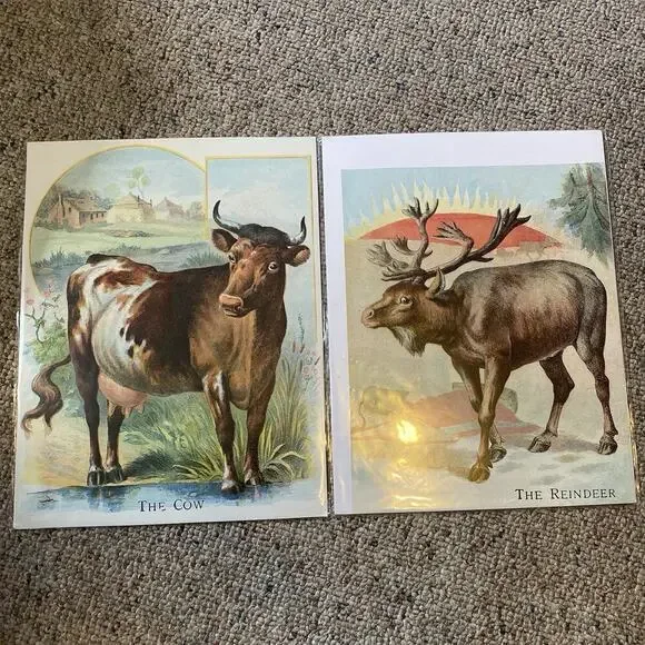Lot of 2 Vintage Farm Animals Postcards Double Side Printed Cow Reindeer Horse