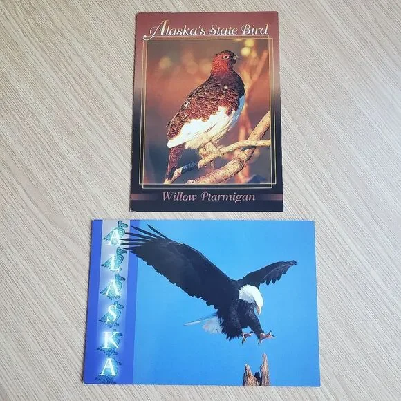 Vintage Alaska Themed State Postcards State Bird Willow Ptarmigan Bald Eagle 4x6