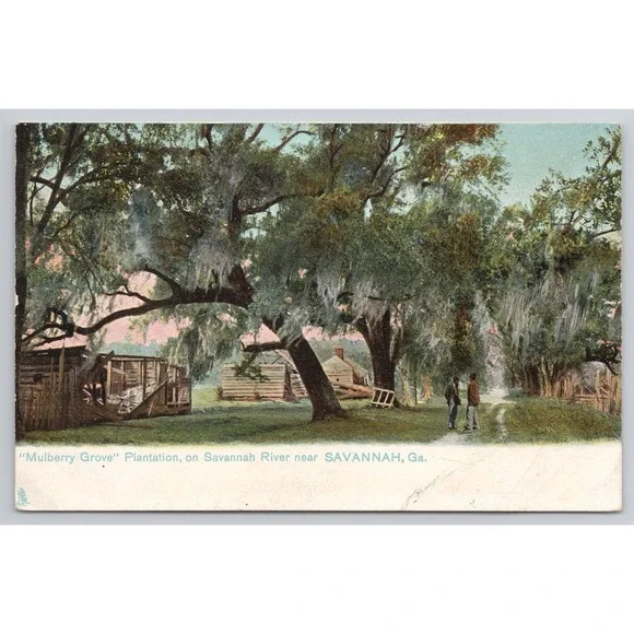 Mulberry Grove Plantation Savannah River‎ Savannah Georgia Vintage Tuck Postcard