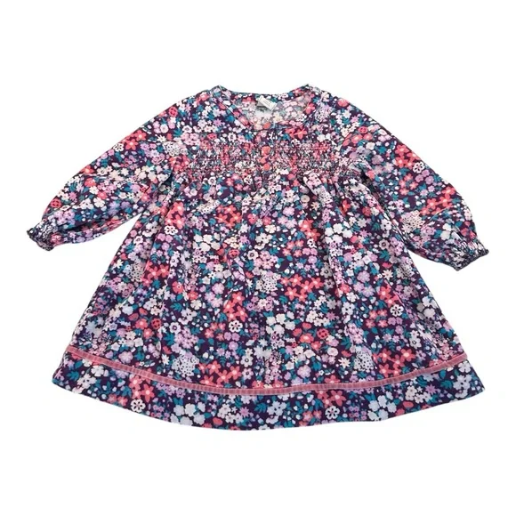 Old Navy 2011 Floral Corduroy Velvet Trim Smocked Girls Dress‎