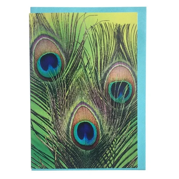Hallmark Peacock Feather Single (1) Blank Note Card (LNL2128)