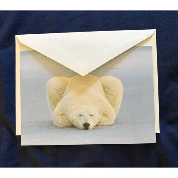 Generic Card with White Envelope and Blank Interior | Polar Bear design by EDF
