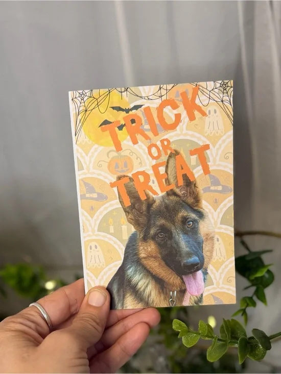 German Shepherd Trick or Treat Halloween Greeting Cards 4x6 Set of 15