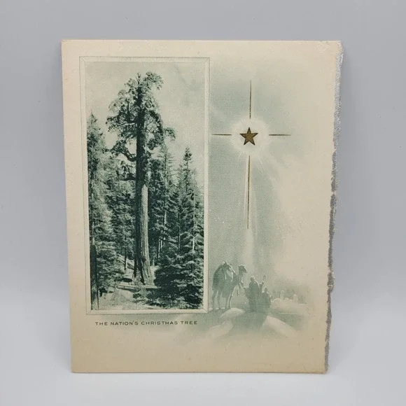 Vintage Christmas Card Nation's Tree Badger Lumber‎ Holiday Wishes