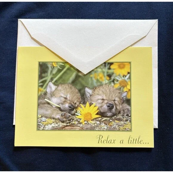 Birthday Card with White Envelope | Baby Wolf and Wildlife design By NWF