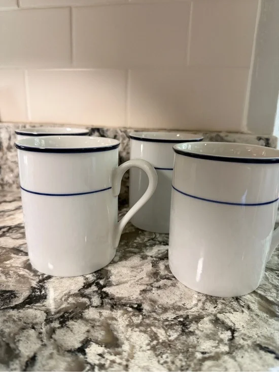 Set of 4 Crate & Barrel Catalina Mugs