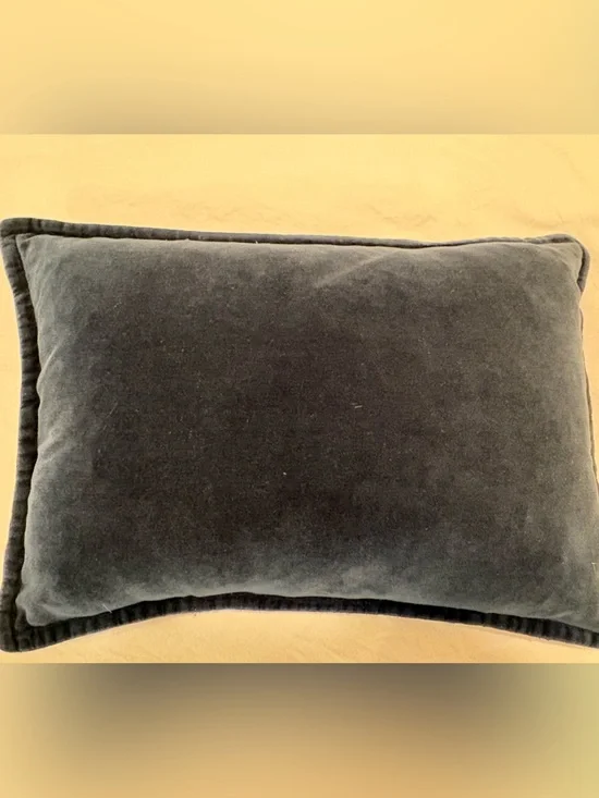 Crate & Barrel Navy Velvet 18x12 Throw Pillow Feather Insert