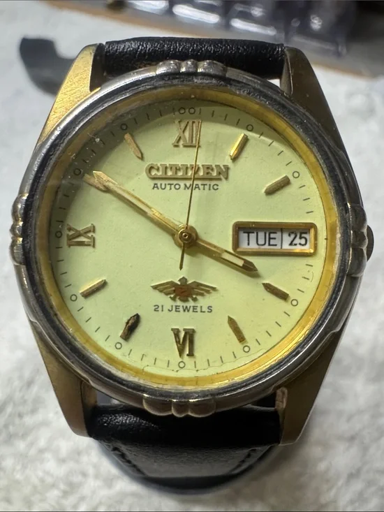Citizen Light Green Dial Dress Watch with Gold Accents
