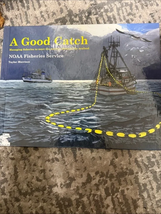 A Good Catch by - Illustrated Home Game Book (Blue, Yellow)