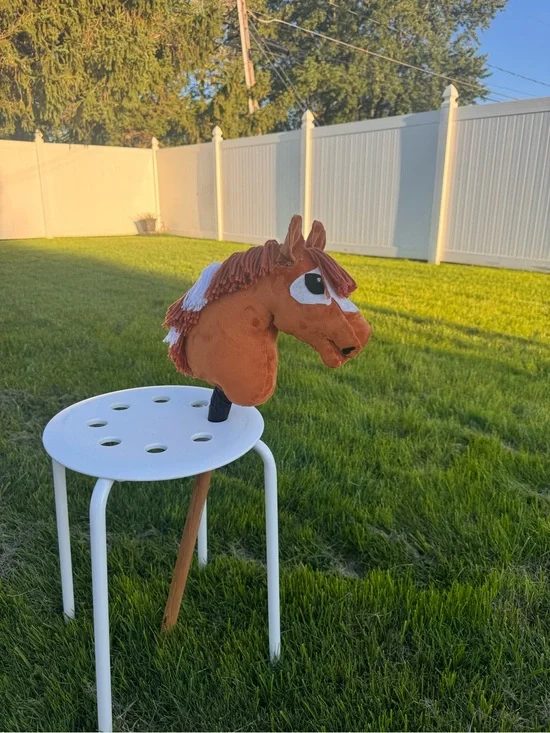 Hobby horse- “FSS Just Keep Swimming” AKA Nemo