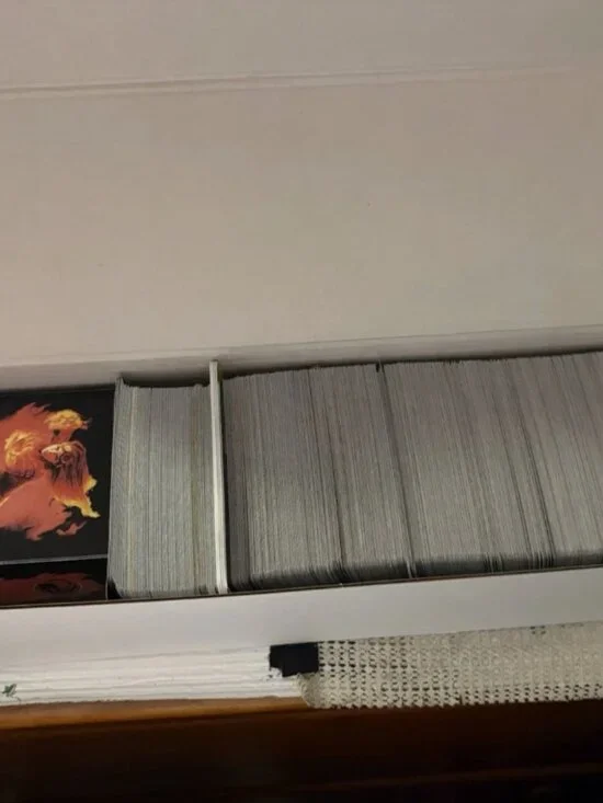 1000 MTG Blind Lot with Foils and Vintage - perfect for collectors and resellers