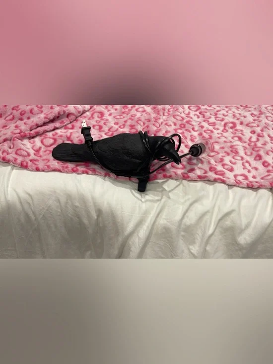 Black Wall Decorative Crow with Hanging Light Bulb  - Home Accessories