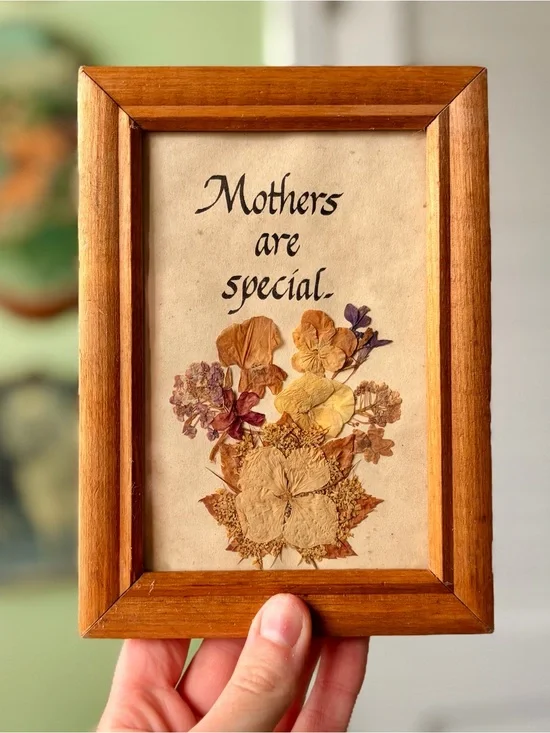 Wood Framed Dried Pressed Florals Wall Art - Mothers Are Special Charming Decor