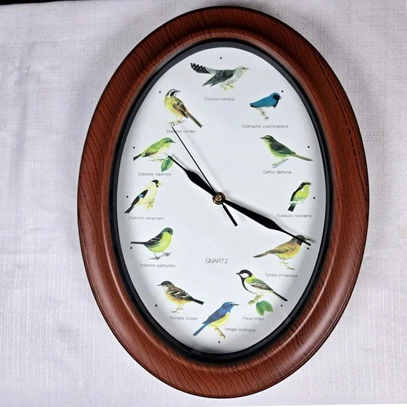 Vintage Oval Quartz Bird Illustration Wall Clock – Faux Wood Grain Frame
