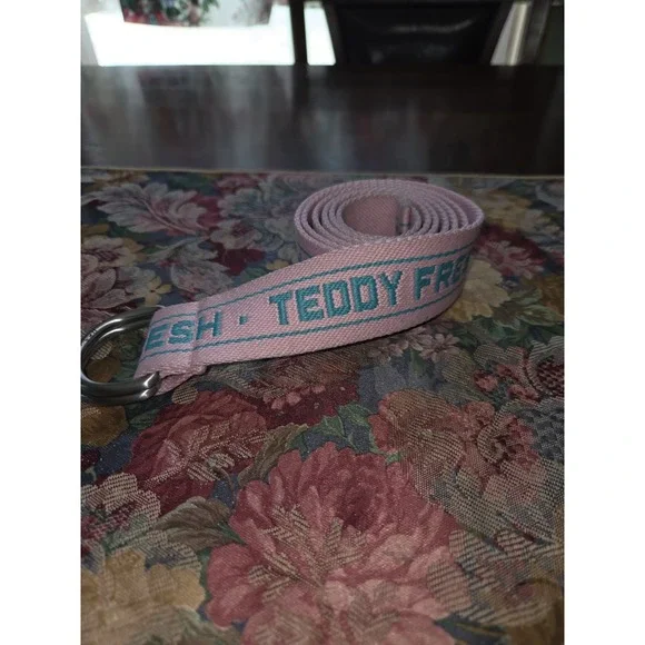 Teddy Fresh D-Ring Webbing Belt Pink Teal Embroidered Logo Streetwear