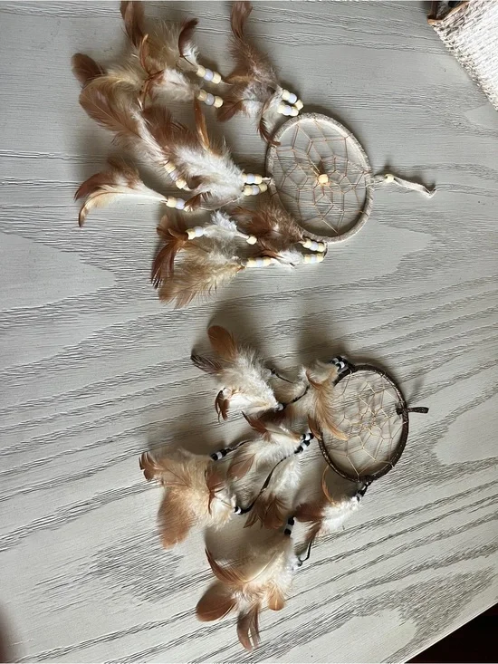 Handmade Beige and brown  Feather Dreamcatcher Wall Decor