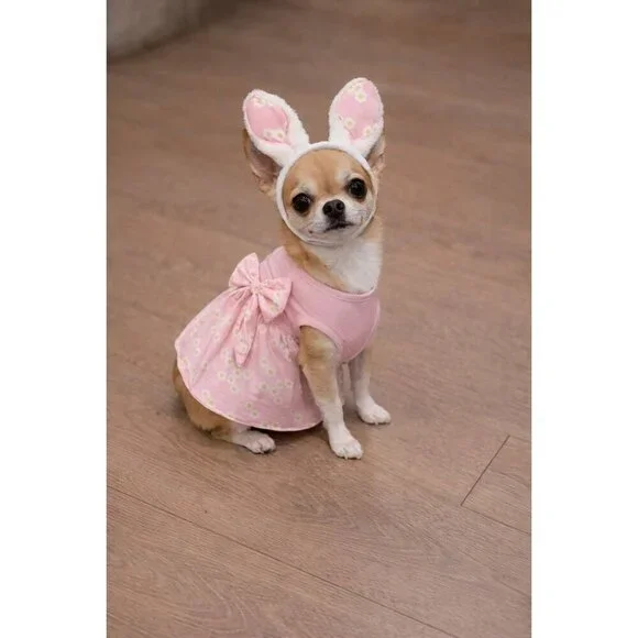 NEW Pink Girl Dog Apparel CLOTHING Easter Bunny Dress W/ Bunny Ears NWT - Small
