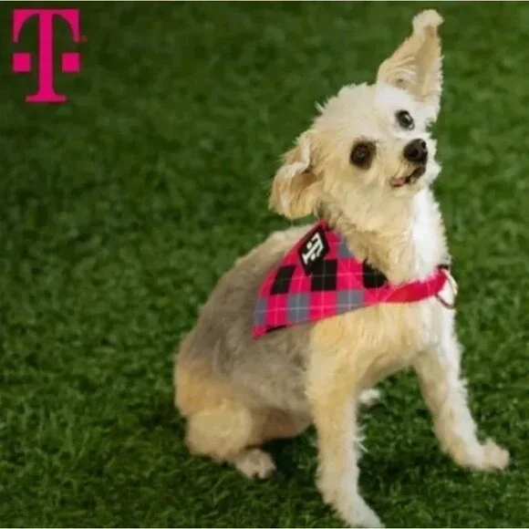T-Mobile Tuesday Adjustable Pet Bandana Collar - Small