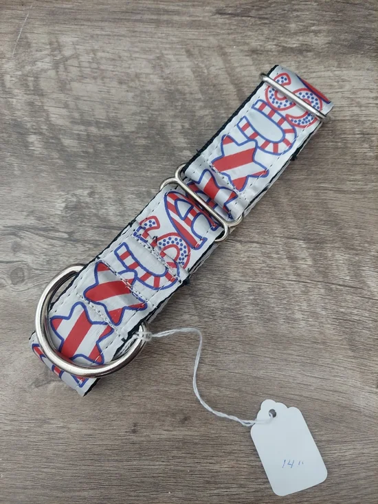Custom Martingale Dog Collar 1.5