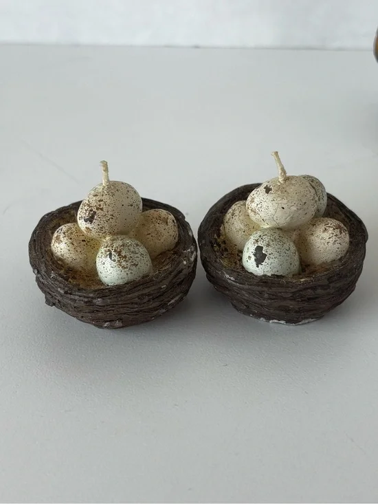 Set of 2 Miniature Nesting Bird Egg Candles 1.5”