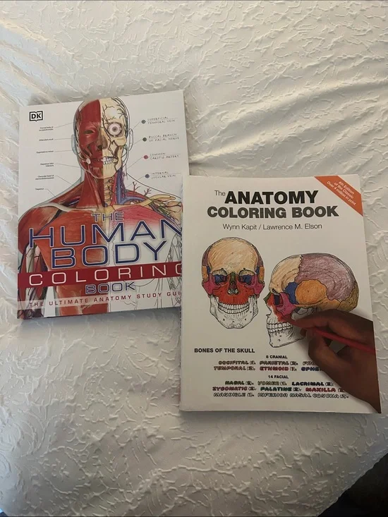 The Anatomy Coloring Book - White Cover -