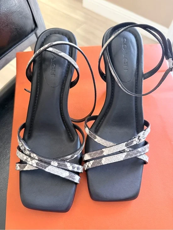 Coach Black Sandal with Silver Snake-Print Straps