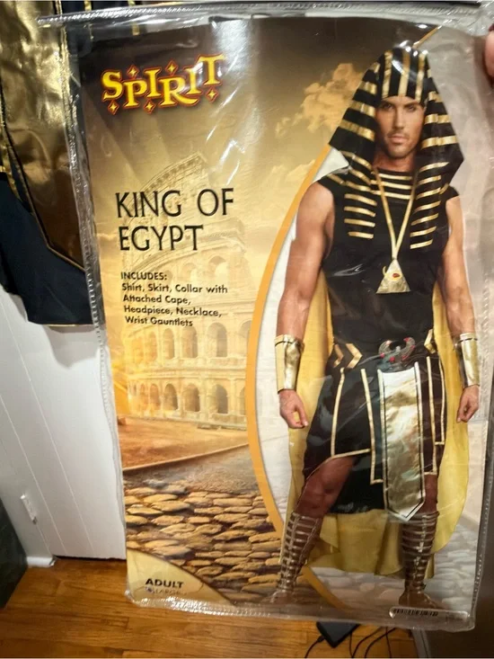Spirit King of Egypt Adult Costume - Black and Gold