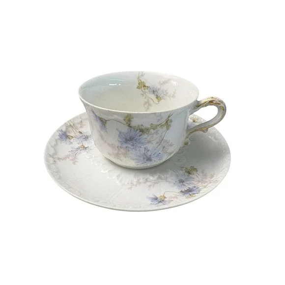 Antique Haviland‎ Limoges France Blue Floral Tea Cup & Saucer Set